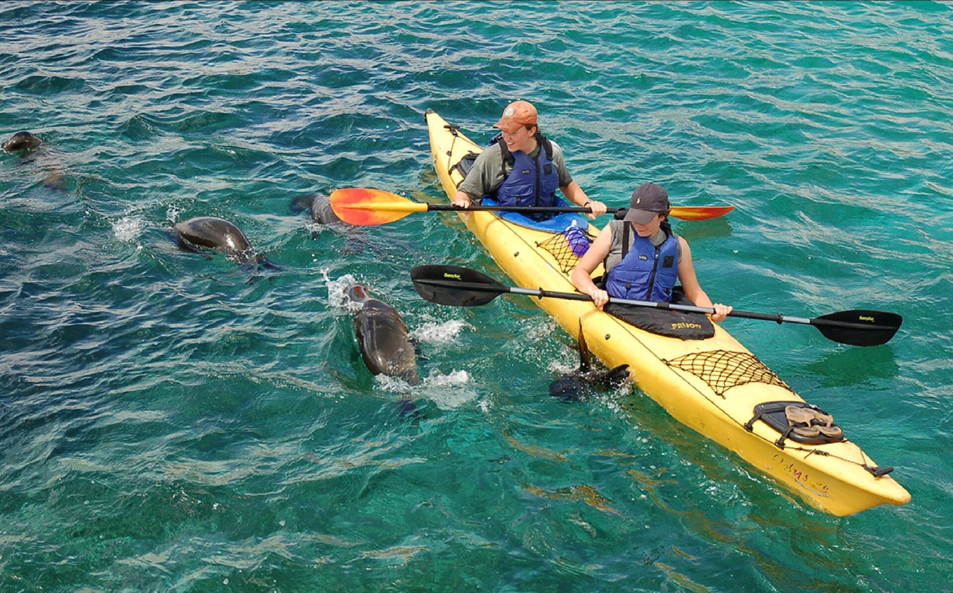 Galapagos Multisport Adventure Tour Sea Kayaking Galapagos Multisport Adventure Tour Sea Kayaking