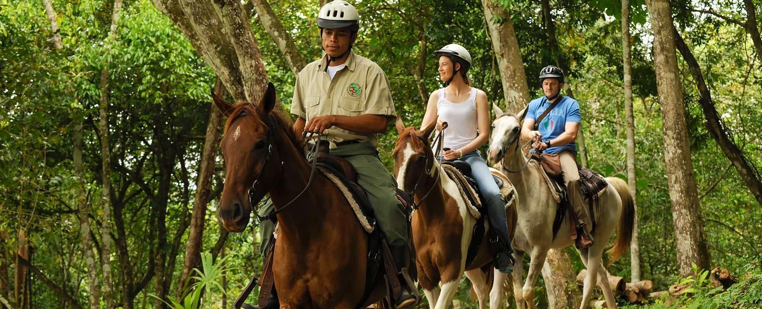 belize-horseback-riding-tours-chaa-creek-home-optimized_10 belize horseback riding tours chaa creek home optimized 10