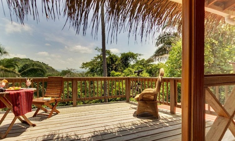 belize-tree-house-riverview-2bed-466092-1 belize tree house riverview 2bed 466092 1