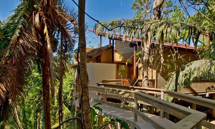 belize-tree-house-riverview-canopy-170128-2 belize tree house riverview canopy 170128 2