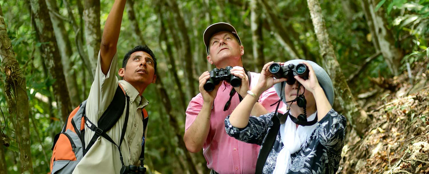 belize tours birds chaa creek resort carousel