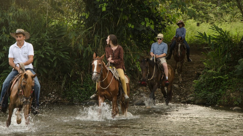 Hacienda Bambusa - Colombia