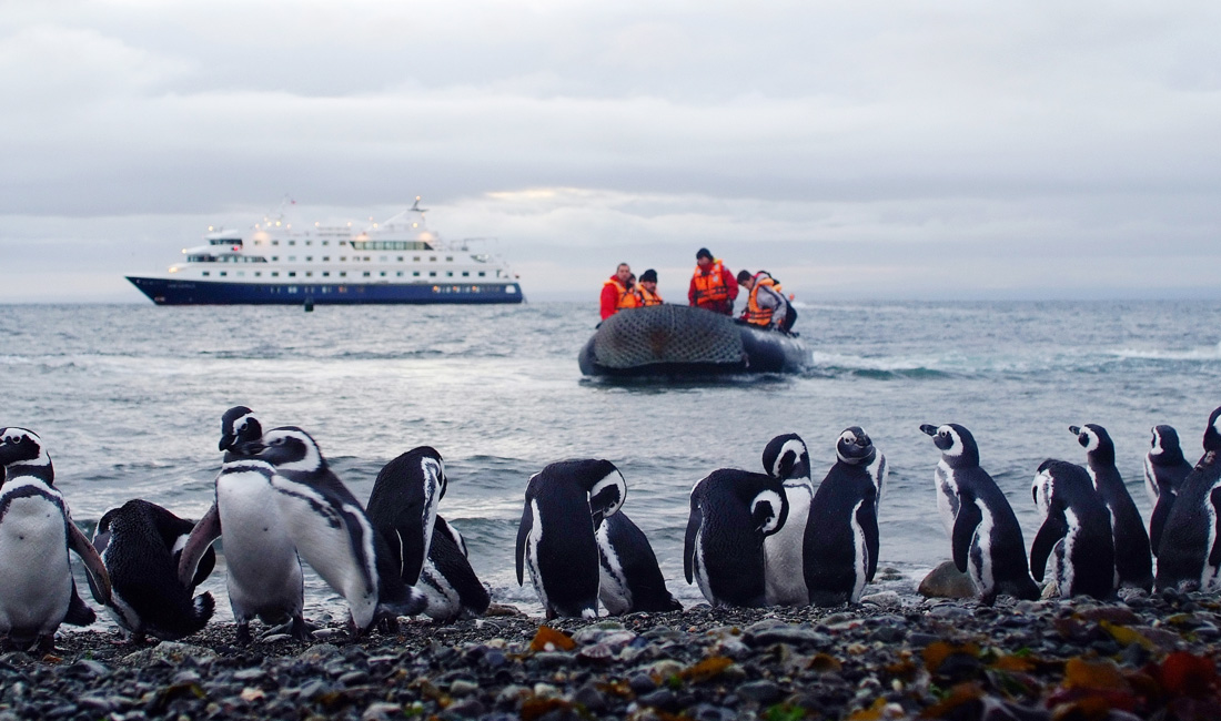 Gauchos, Glaciers and Penguins - 6 Nights Gauchos, Glaciers and Penguins - 6 Nights