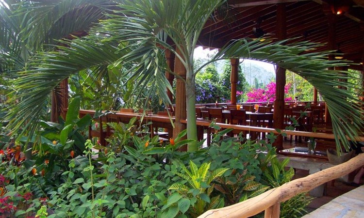 restaurant79397-1 restaurant79397 1