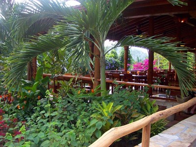 restaurant79397 restaurant79397