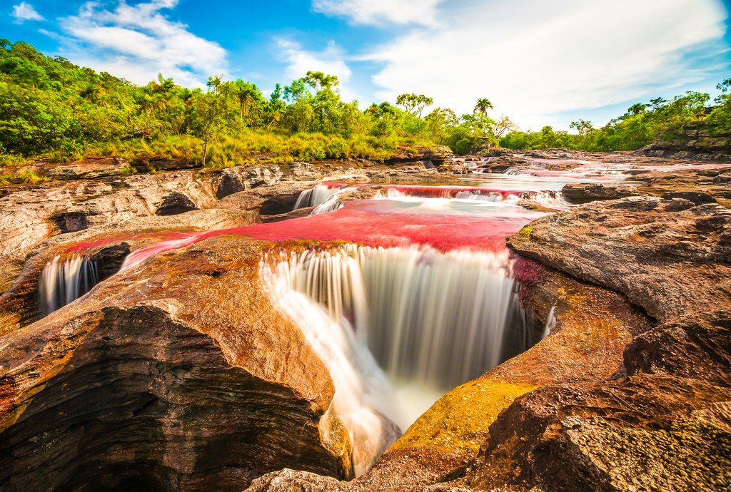 river-in-colombia-cano-cristales.webp river in colombia cano cristales