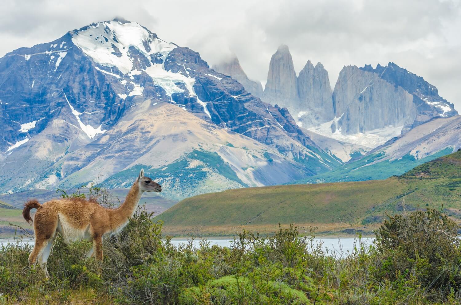 Torres del Paine Torres del Paine