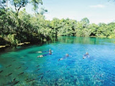 byosnorkeling_riodaprata_haroldo_palo byosnorkeling riodaprata haroldo palo