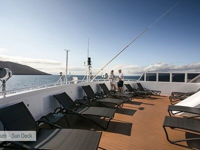 galapagos-santa-cruz-solarium-sun-deck-2 galapagos santa cruz solarium sun deck 2