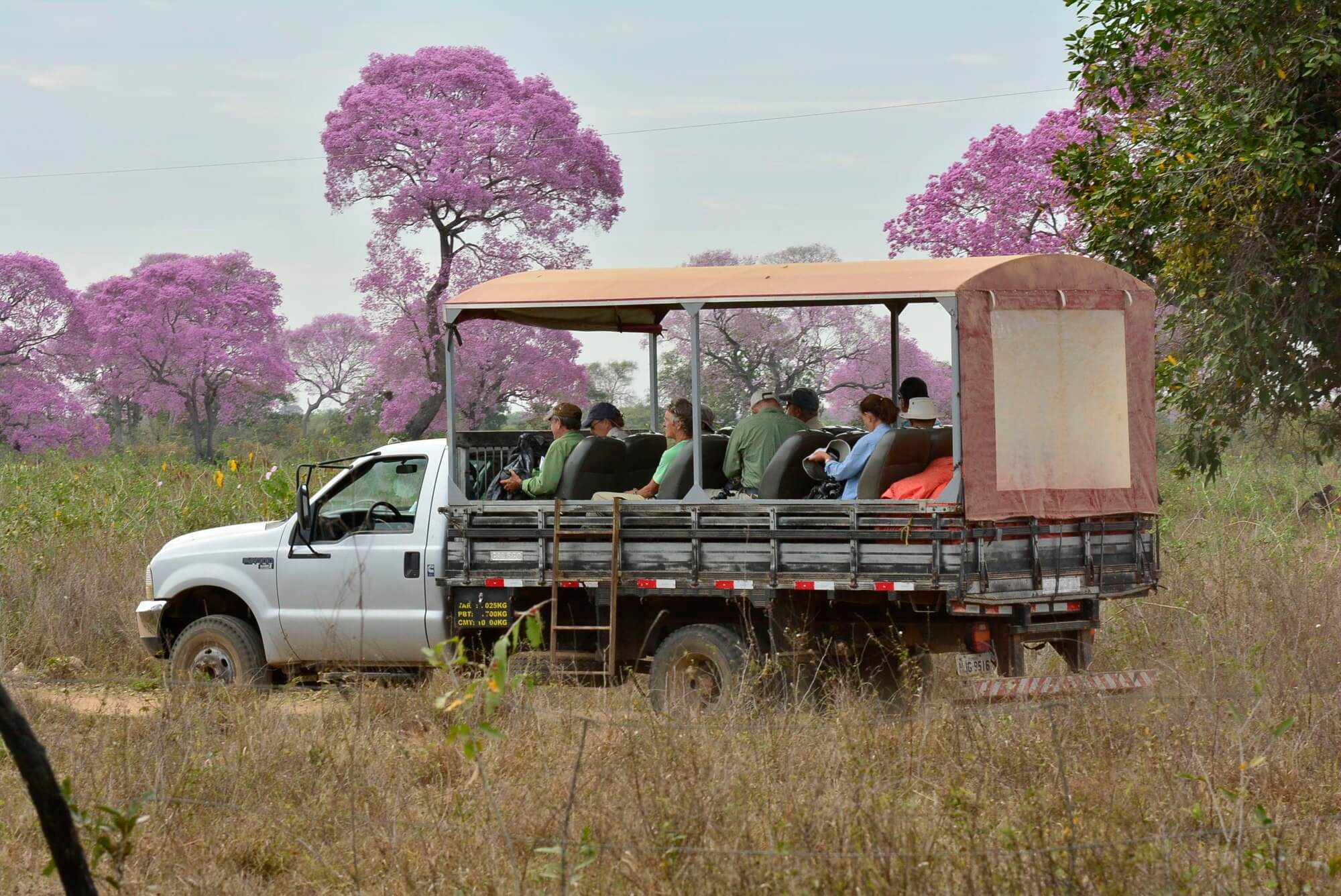 Pantanal Jaguar Safari Pantanal Jaguar Safari