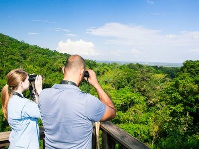 lodge-pico-bonito-birding-tower lodge pico bonito birding tower
