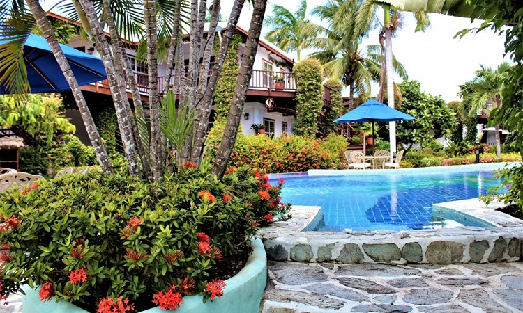 palm-tree-pool-via-honemoon-steps-chabil-mar-resort-belize-1 palm tree pool via honemoon steps chabil mar resort belize 1