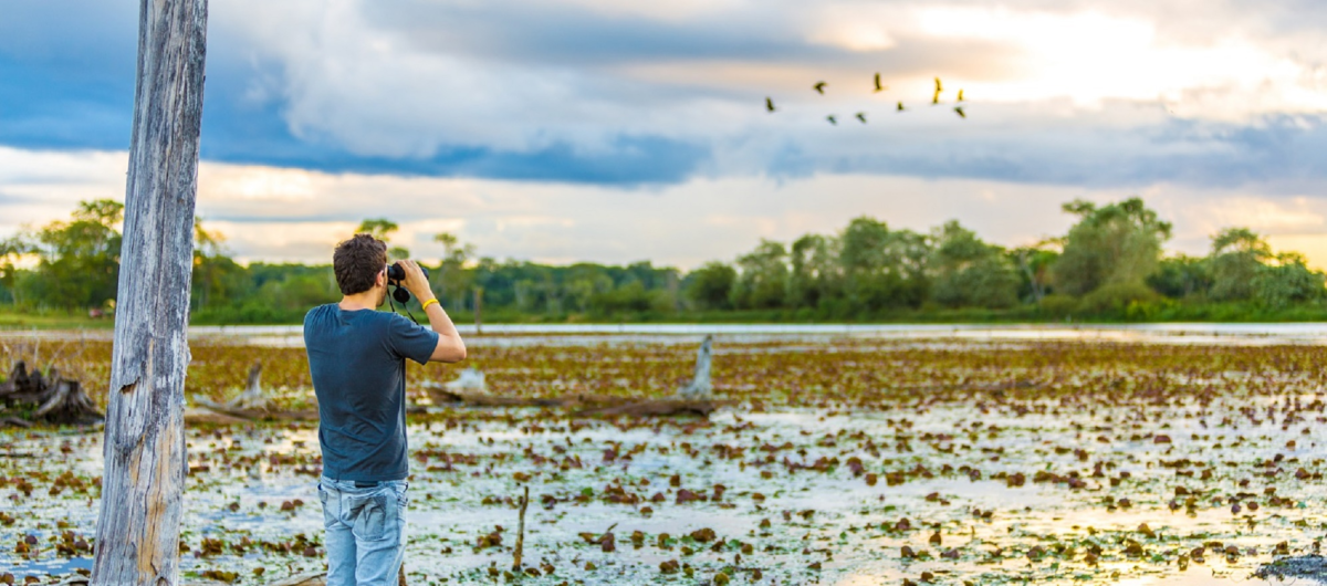 Upscale Pantanal & Bonito Tour Package to Brazil pantanal resized web 1