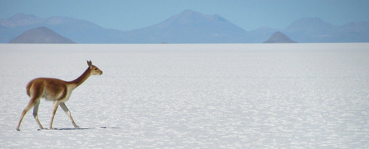 atacama uyuni08 2