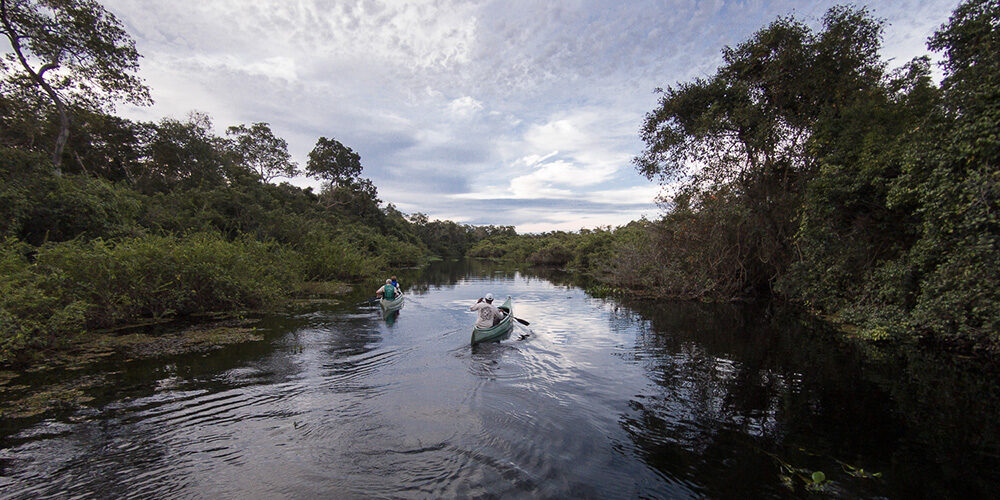 pantanal river pantanal river