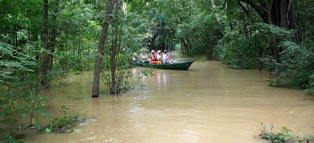 Tucano Amazon Rain Forest Exploration Tucano Amazon Rain Forest Exploration