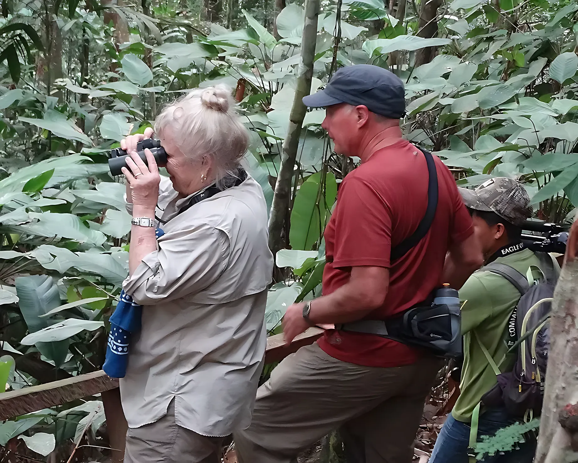 Atta Rainforest Lodge – Iwokrama Forest, Guyana 9b6f88 43b2ad09b364475bbefa069e456be5bdmv2