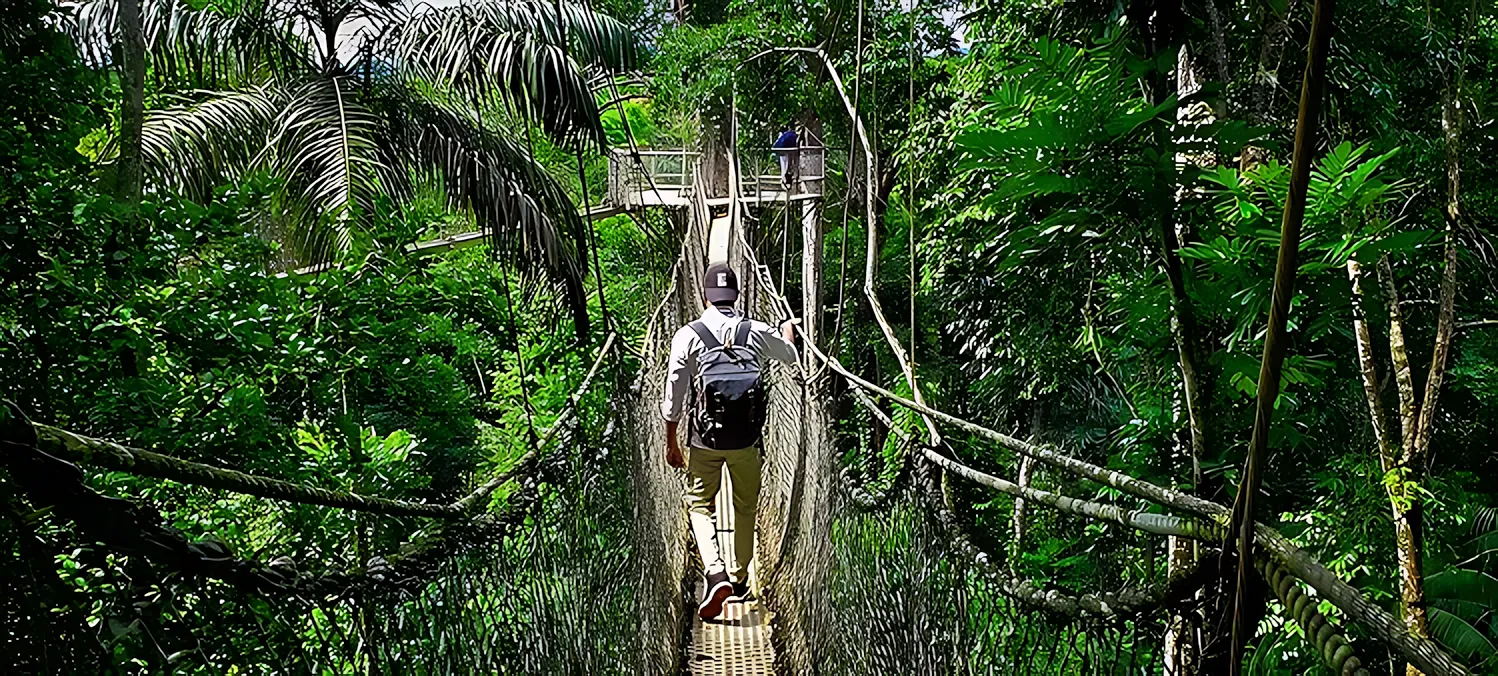 Atta Rainforest Lodge – Iwokrama Forest, Guyana KS 2020 Atta Lodge canopy walkway 2 jp