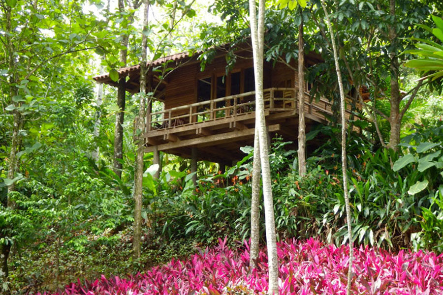 Macaw Lodge Rooms Macaw Lodge Rooms