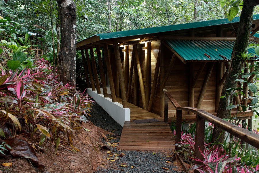 Macaw Lodge Rooms Macaw Lodge Rooms