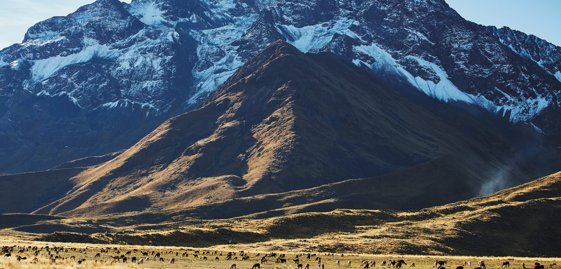 Andean Explorer Train - Spirit of the Andes Andean Explorer Train - Spirit of the Andes