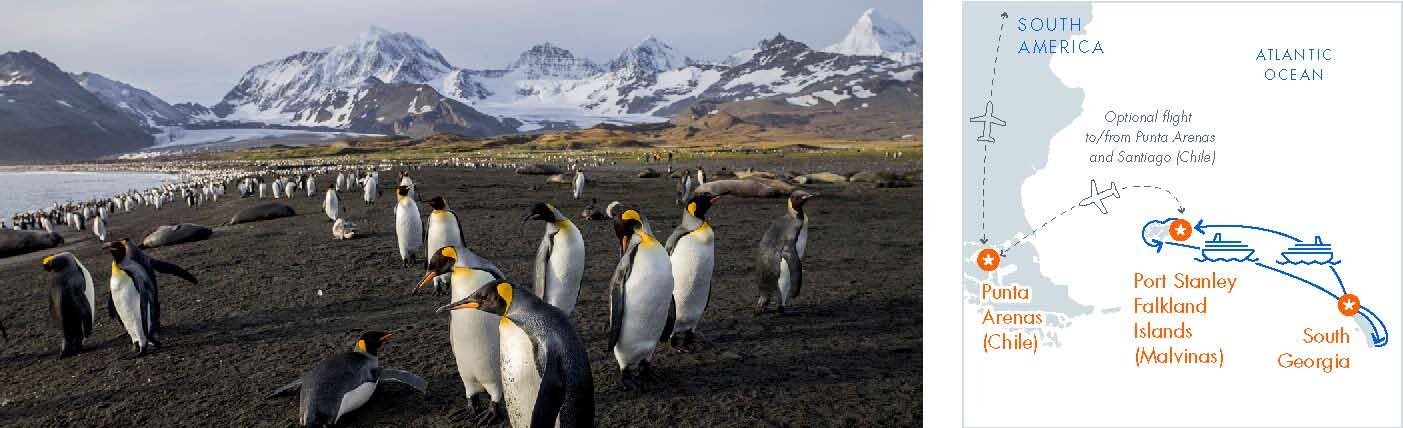 Falkland Islands and South Georgia Small Ship Expedition Itinerary Falkland Islands and South Georgia Small Ship Expedition Itinerary