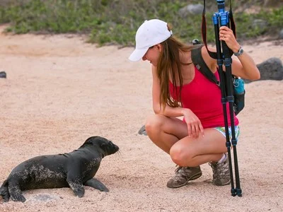 baby-galapagos-sea-lion baby galapagos sea lion