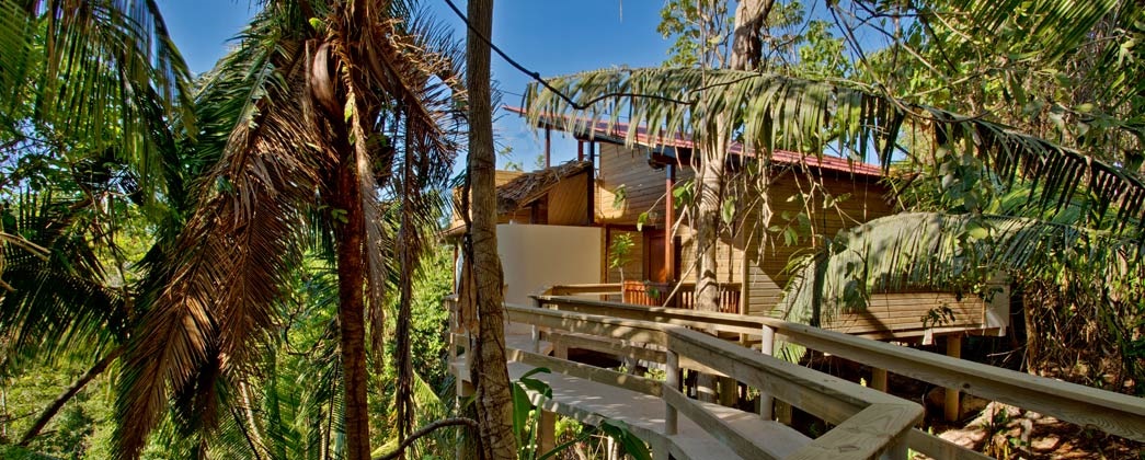 Caves Branch Jungle Lodge Rooms Caves Branch Jungle Lodge Rooms