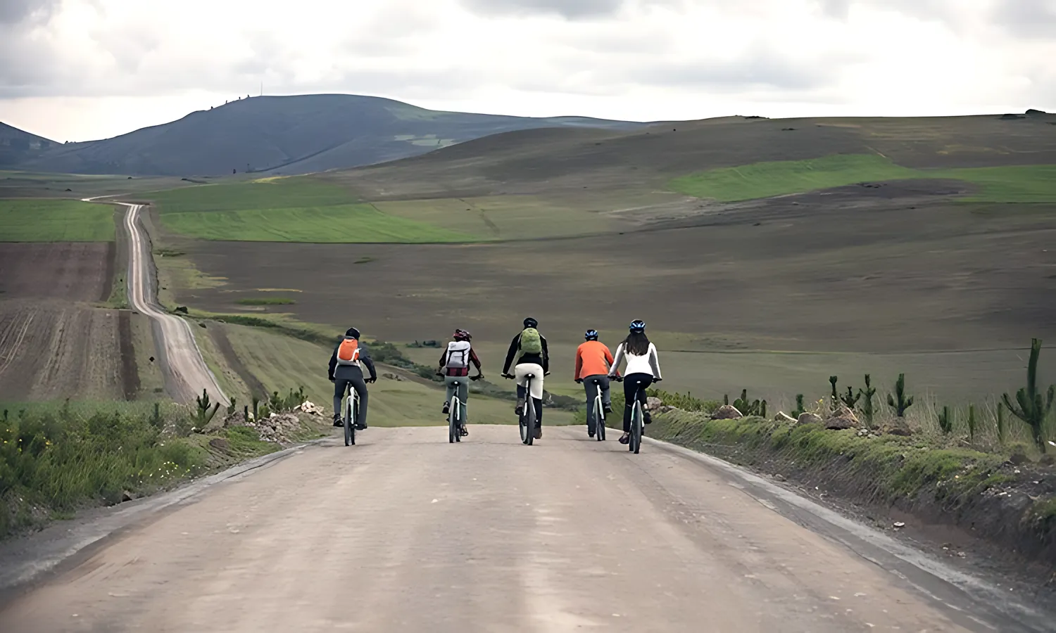 bike-5 bike 5