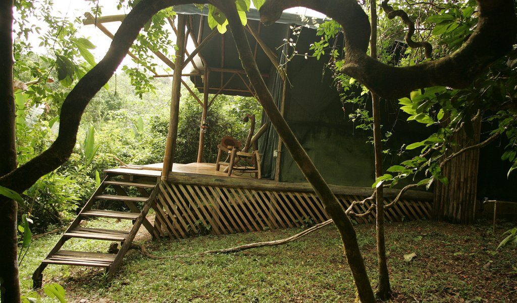 Danta Corcovado Lodge Rooms Danta Corcovado Lodge Rooms