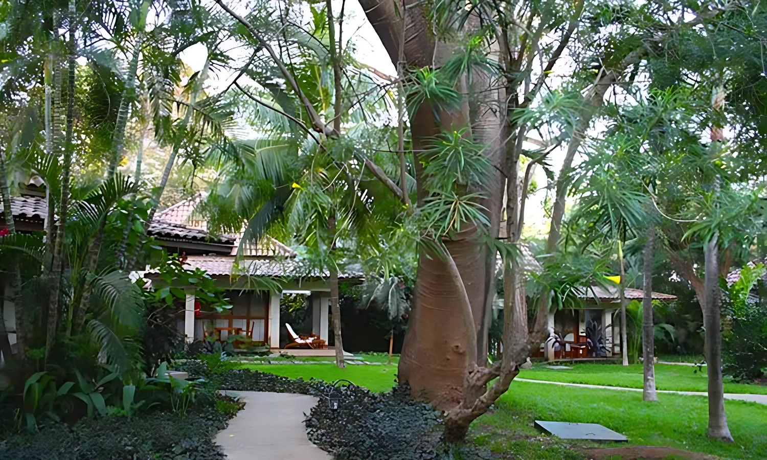 bungalows
