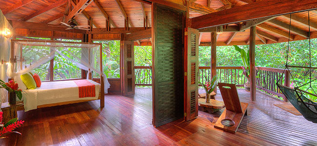 Playa Nicuesa Rainforest Lodge Rooms Playa Nicuesa Rainforest Lodge Rooms
