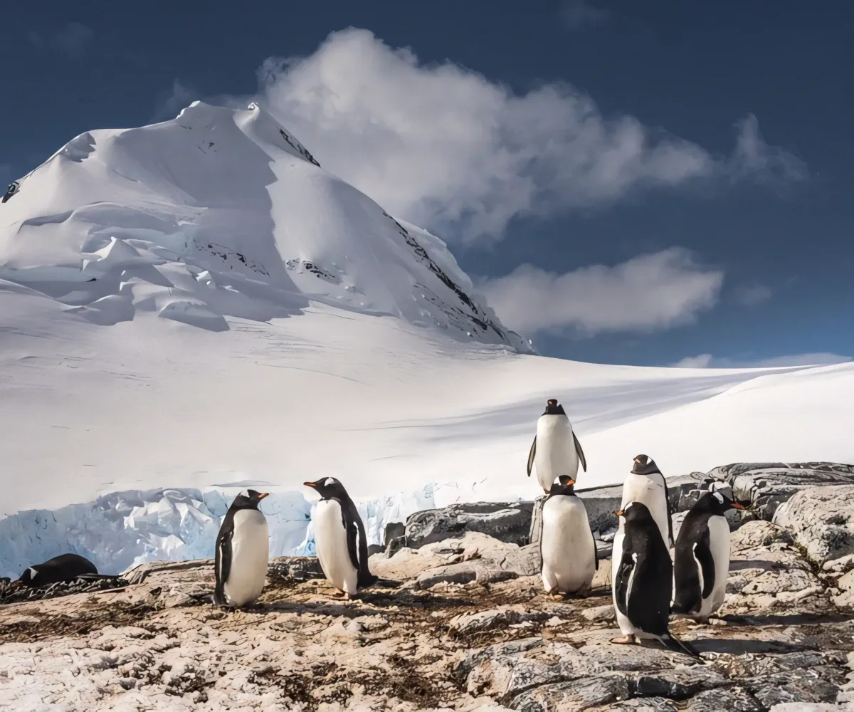 classic antarctica 05