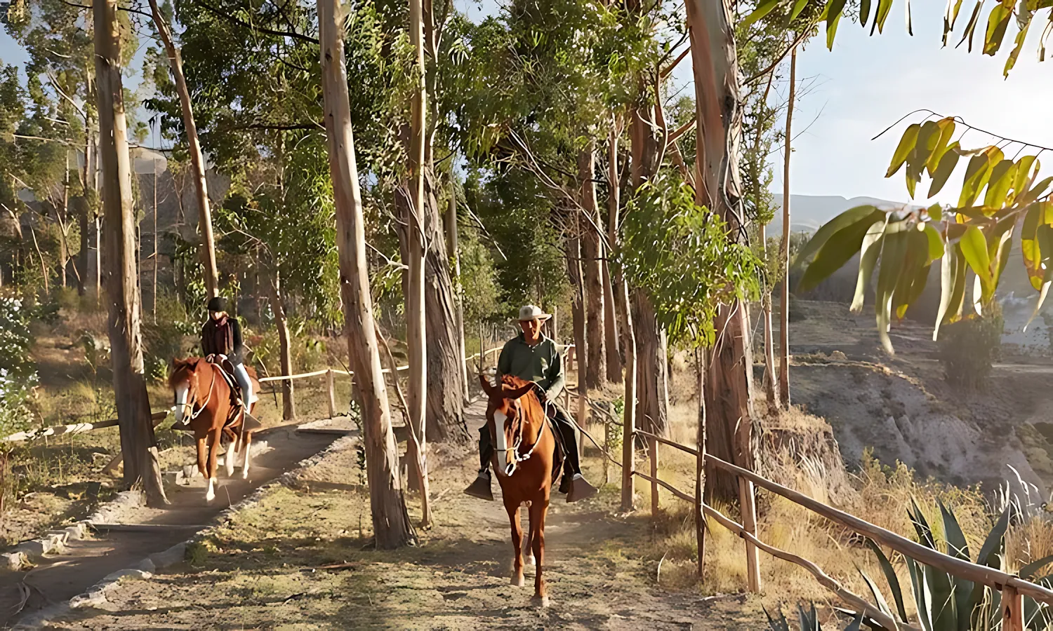 col-lei-activity-horse-riding03_960x748 col lei activity horse