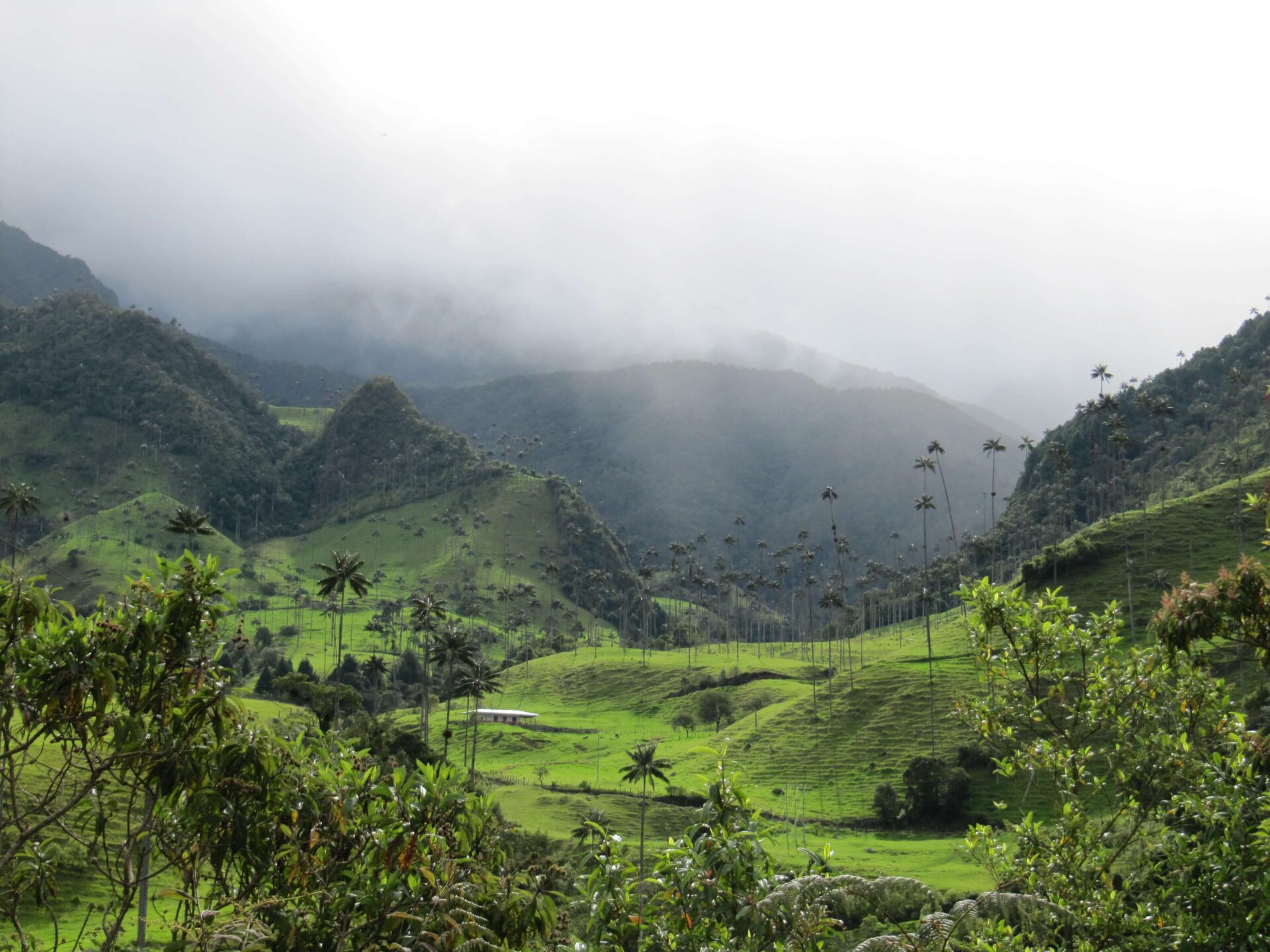 Cocora Valley Colombia Cocora Valley Colombia