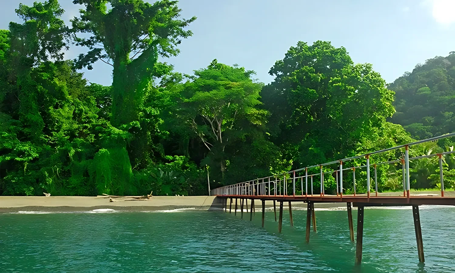 costa rica muelle at playa nicuesa rainforest lodge