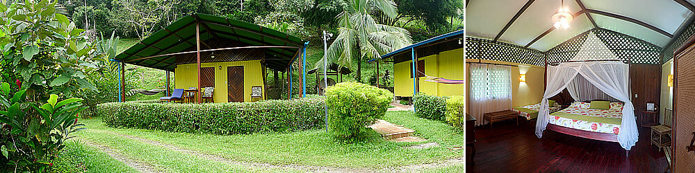 Hotel Cristal Ballena Rooms Hotel Cristal Ballena Rooms