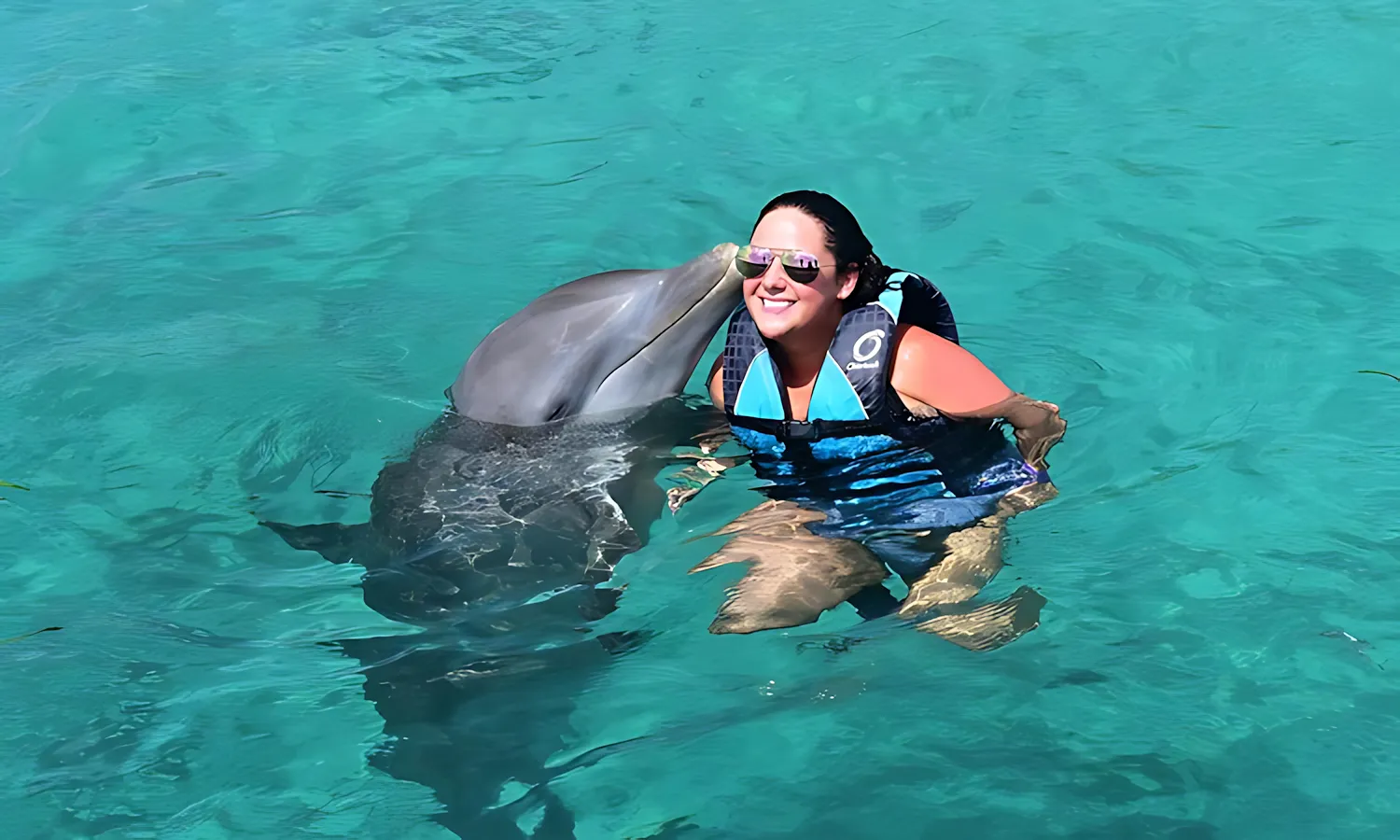 dolphin-action-swim-10 dolphin action swim 10