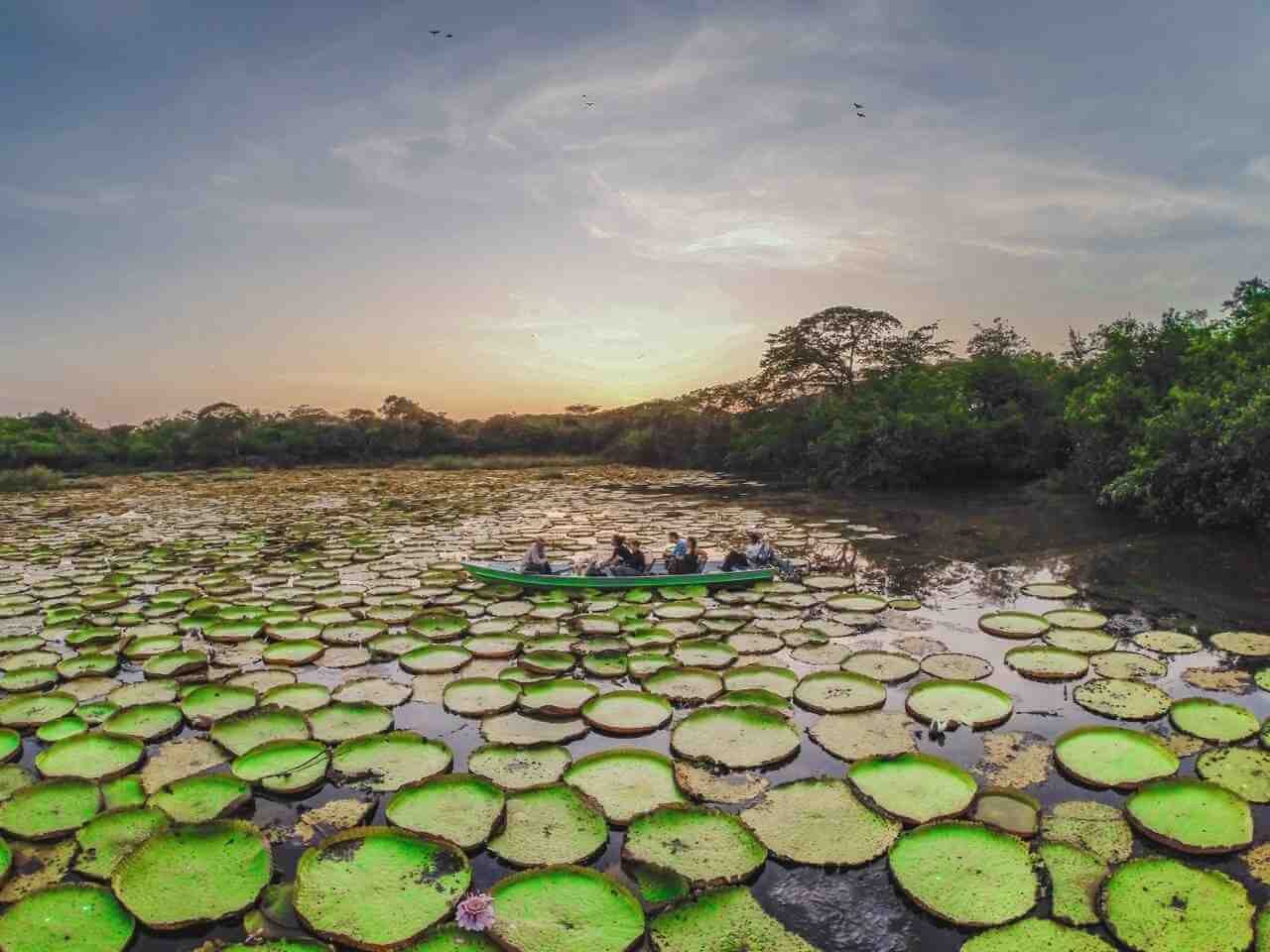 The Guianas Experience Tour Package The Guianas Experience Tour Package