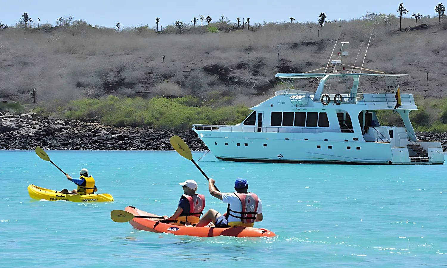 finch-bay-kayaking finch bay kayaking