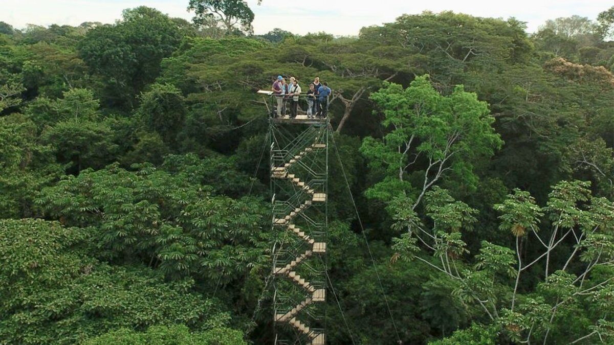 Refugio Amazonas and Tambopata Research Center Refugio Amazonas and Tambopata Research Center