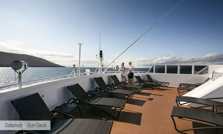 galapagos santa cruz solarium sun deck 2