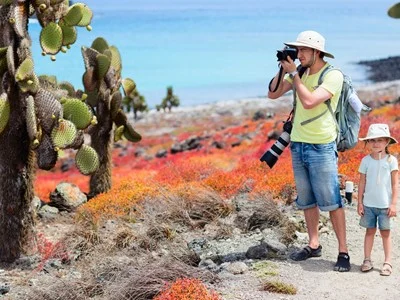 galapagos-south-plaza-island galapagos south plaza island