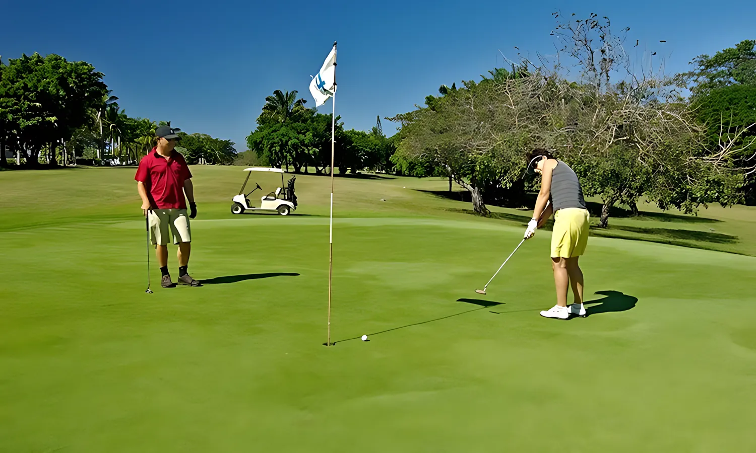 golf-course-fileminimizer golf course fileminimizer
