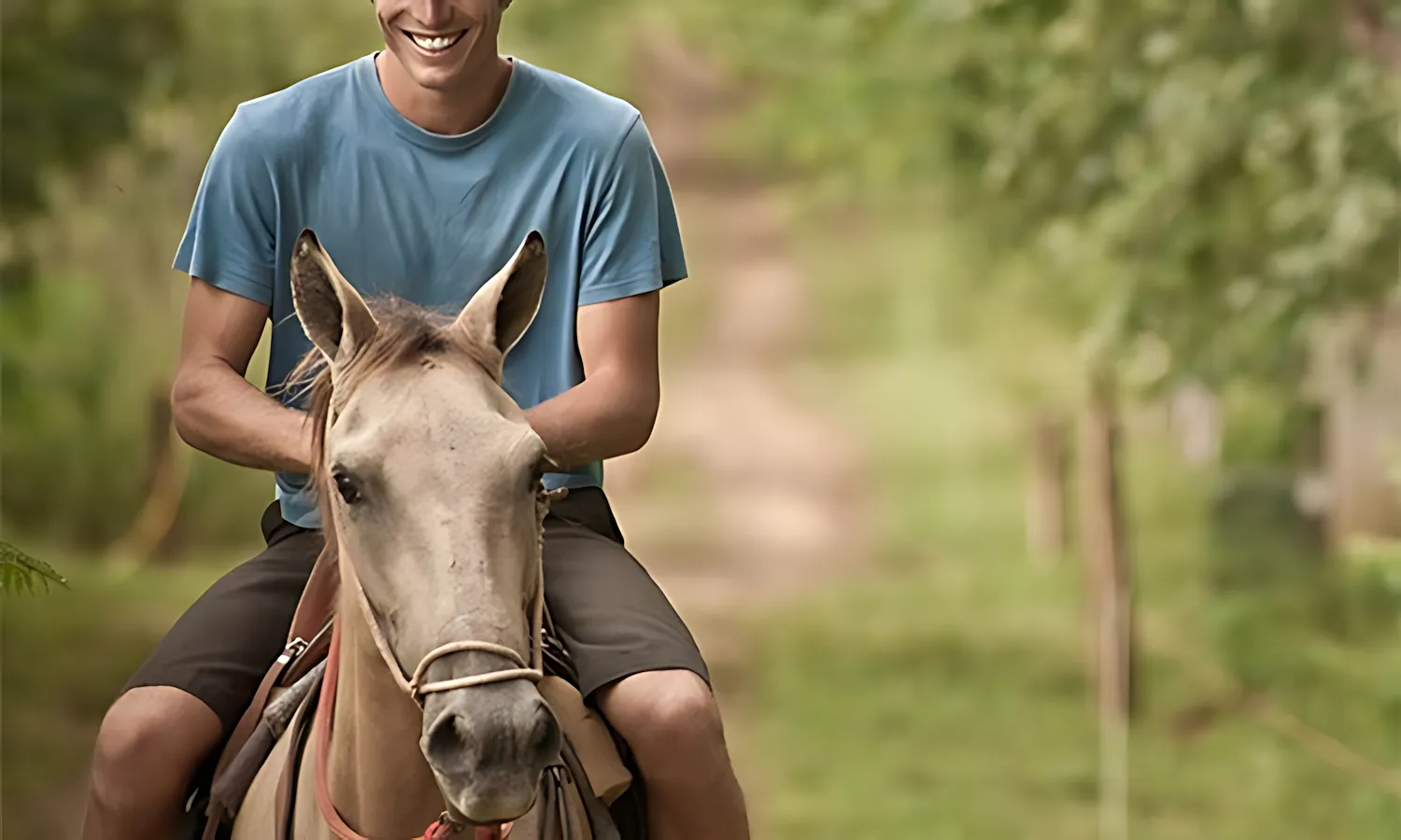 horseback