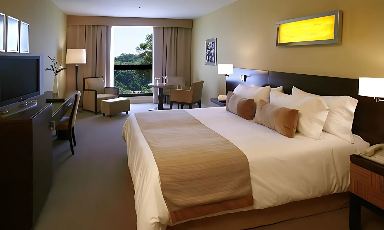 junior suite 2 1