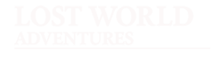 lwa bottomlogo