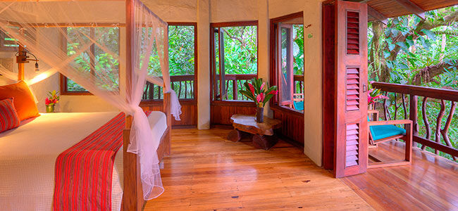 Playa Nicuesa Rainforest Lodge Rooms Playa Nicuesa Rainforest Lodge Rooms