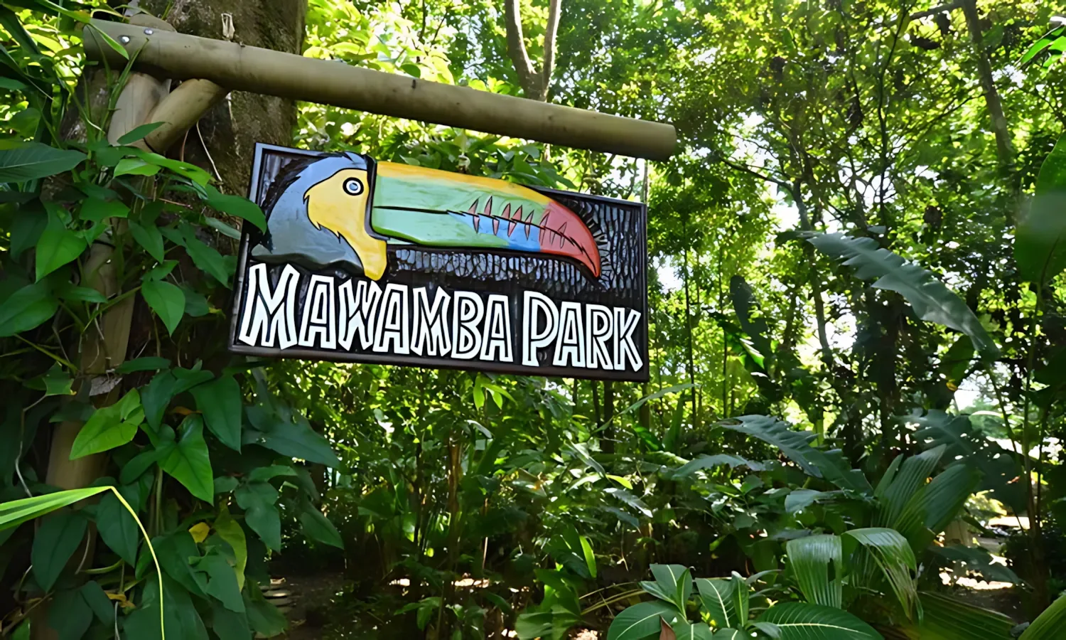 mawamba003