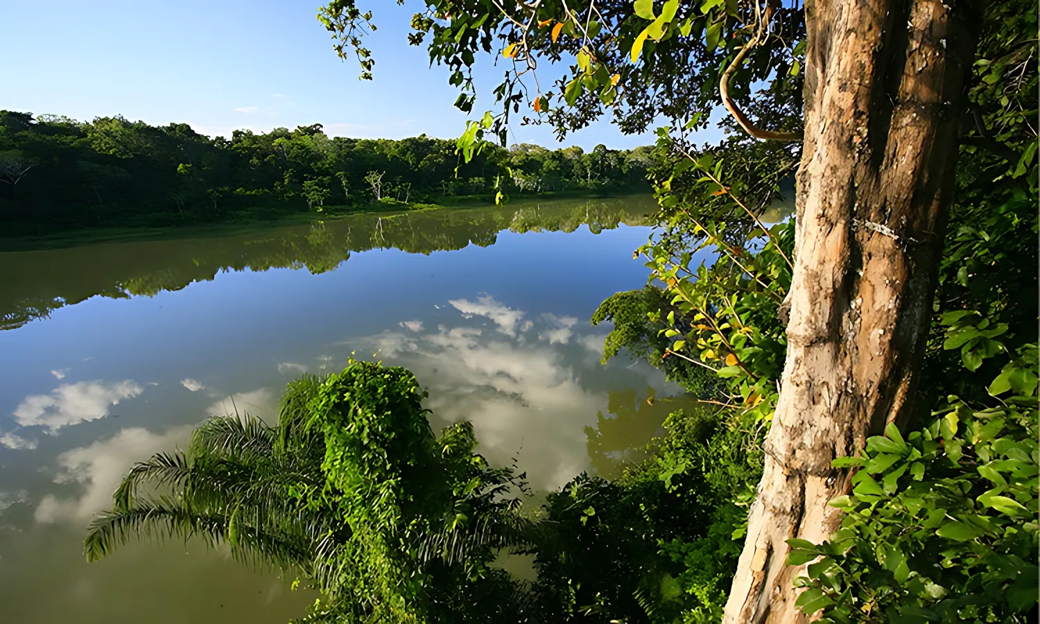 national park 1